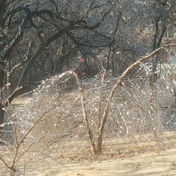 Meet your Posher, Teresa - Picture 14 of 16